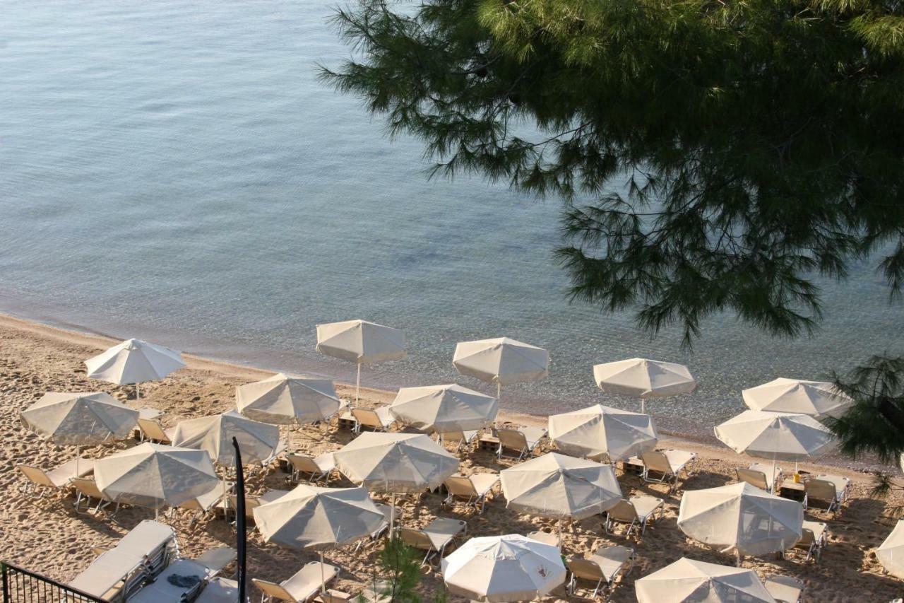 Cosy Apartment By The Sea Metamorfosi  Bagian luar foto