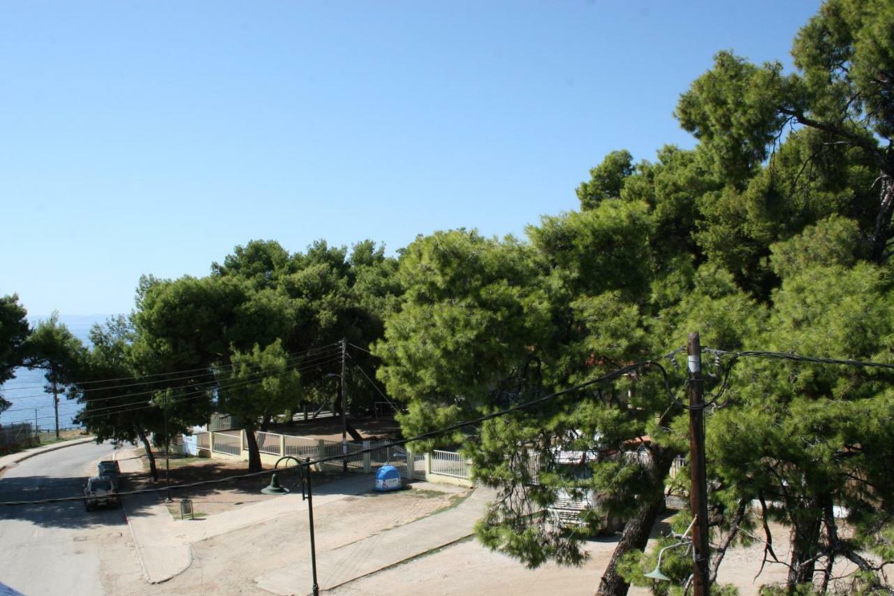 Cosy Apartment By The Sea Metamorfosi  Bagian luar foto