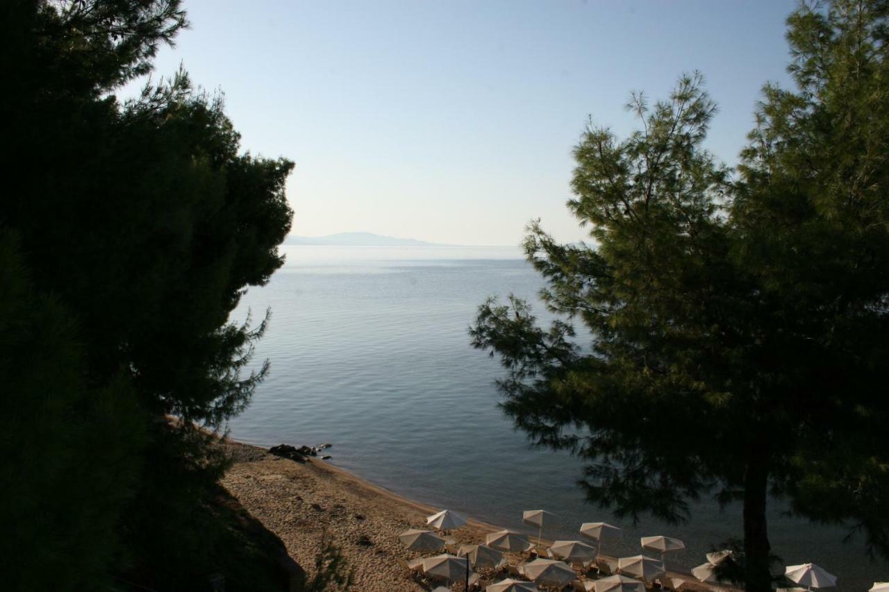 Cosy Apartment By The Sea Metamorfosi  Bagian luar foto