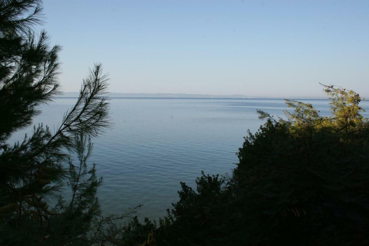 Cosy Apartment By The Sea Metamorfosi  Bagian luar foto